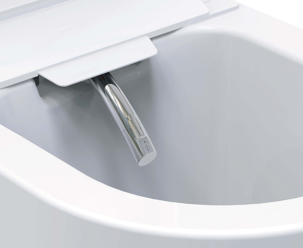 Vesta-ECO rimless wand douche-wc wit