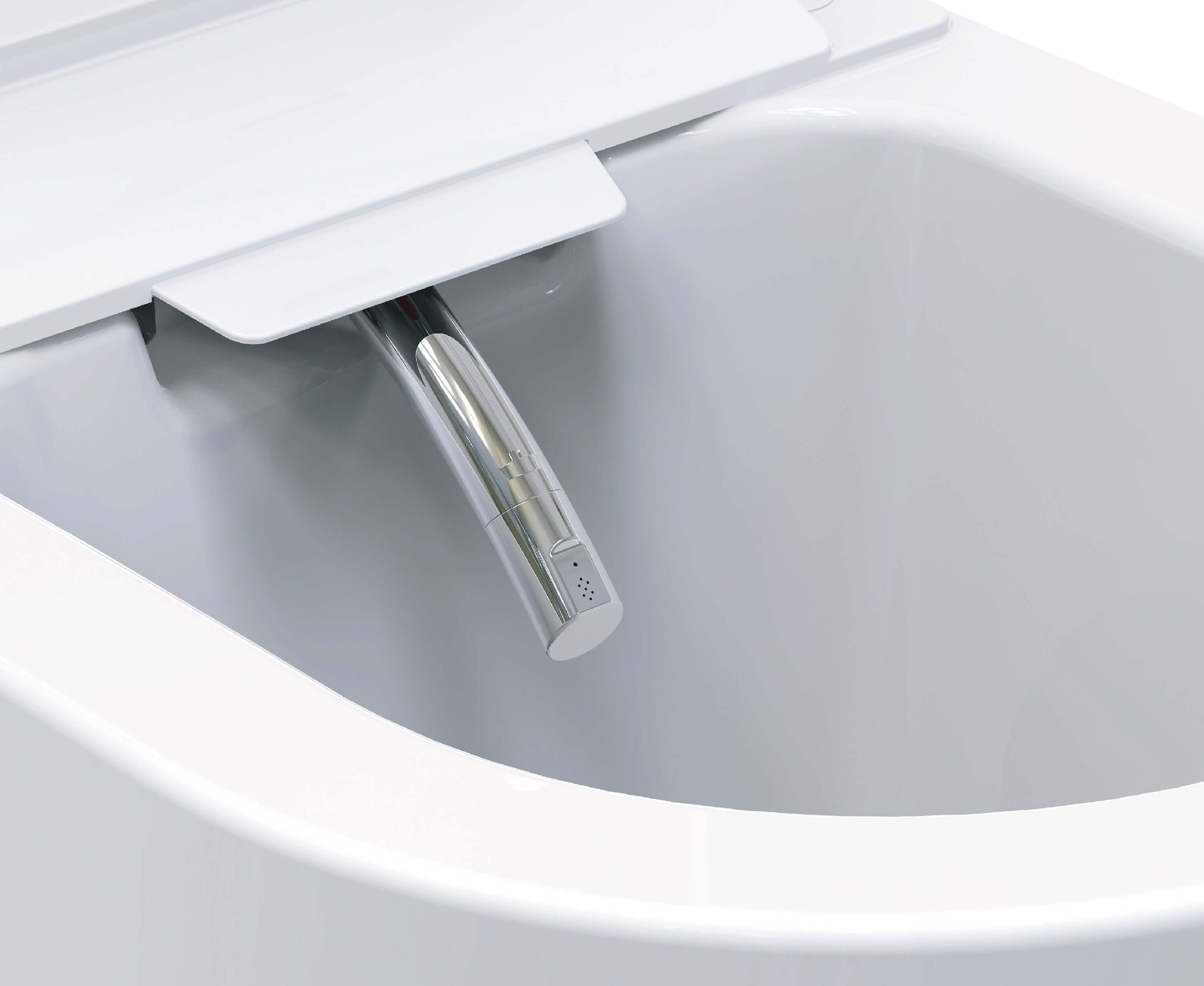 Vesta-ECO rimless wand douche-wc wit